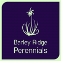 Barley Ridge Perennials